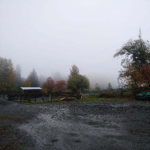 A foggy day at the studio