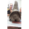 Pottery Gnome Workshop | Build & Paint Your Own Clay Gnome in Abbotsford, BC